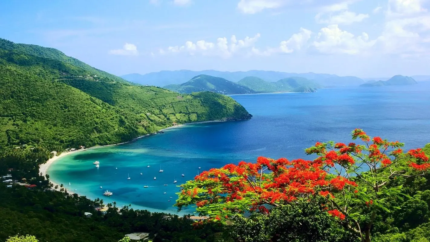 绿色高精度高精度