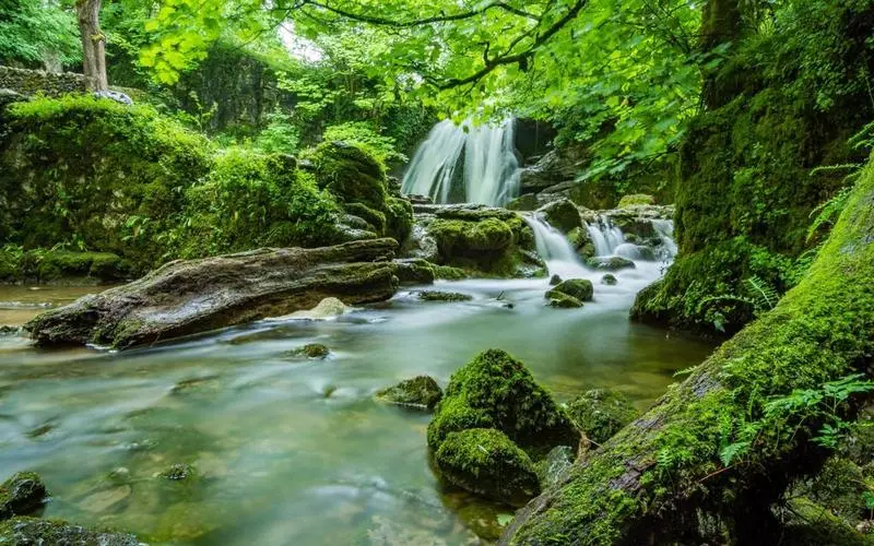电子高效环保